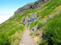 madeira 0823 : Portugal, PRT