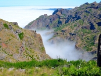 madeira 0825 : Portugal, PRT
