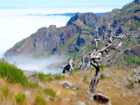 madeira 0826 : Portugal, PRT