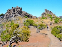 madeira 0827 : Portugal, PRT