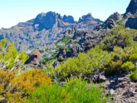madeira 0828 : Portugal, PRT