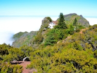 madeira 0831 : Portugal, PRT