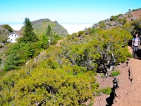 madeira 0832 : Portugal, PRT