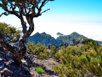madeira 0833 : Portugal, PRT