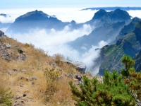madeira 0836 : Portugal, PRT