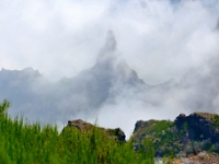 madeira 0837 : Portugal, PRT