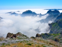 madeira 0839 : Portugal, PRT