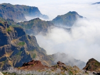 madeira 0841 : Portugal, PRT