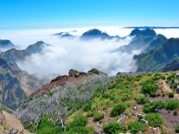 madeira 0845 : Portugal, PRT