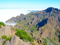 madeira 0846 : Portugal, PRT
