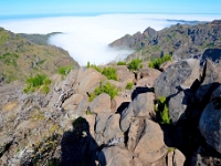 madeira 0847 : Portugal, PRT