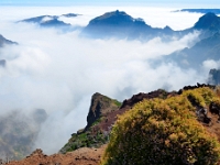madeira 0848 : Portugal, PRT