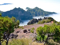 madeira 0855 : Portugal, PRT