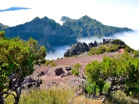 madeira 0856 : Portugal, PRT