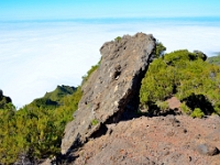 madeira 0858 : Portugal, PRT