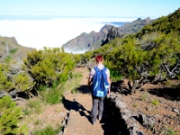 madeira 0859 : Portugal, PRT