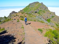 madeira 0860 : Portugal, PRT
