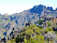 madeira 0861 : Portugal, PRT