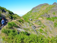 madeira 0864 : Portugal, PRT