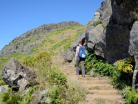 madeira 0866 : Portugal, PRT