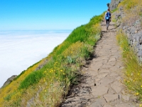 madeira 0867 : Portugal, PRT