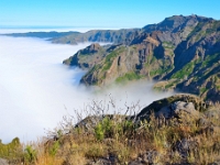 madeira 0868 : Portugal, PRT