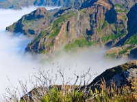 madeira 0869 : Portugal, PRT