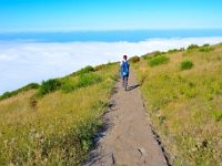 madeira 0871 : Portugal, PRT