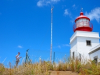 madeira 0086 : Portugal, PRT