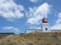 madeira 0088 : Portugal, PRT