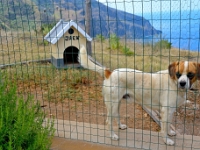 madeira 0134 : Portugal, PRT