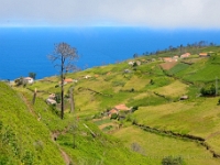 madeira 0139 : Portugal, PRT
