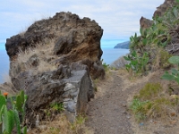 madeira 0231 : Portugal, PRT
