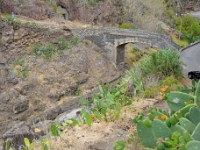madeira 0233 : Portugal, PRT