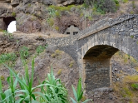 madeira 0234 : Portugal, PRT
