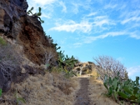 madeira 0476 : Portugal, PRT