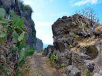madeira 0478 : Portugal, PRT