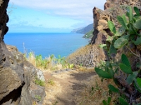 madeira 0481 : Portugal, PRT