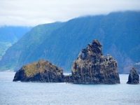 madeira 0176 : Portugal, PRT