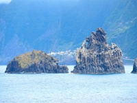 madeira 0181 : Portugal, PRT