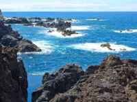 madeira 0183 : Portugal, PRT
