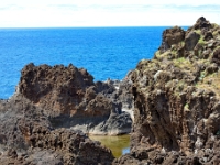 madeira 0185 : Portugal, PRT