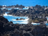 madeira 0186 : Portugal, PRT