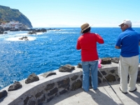 madeira 0193 : Portugal, PRT