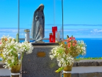 madeira 0206 : Portugal, PRT