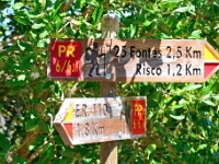 madeira 0965 : Portugal, PRT