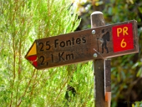 madeira 0968 : Portugal, PRT