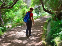 madeira 0972 : Portugal, PRT