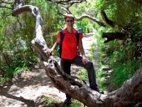 madeira 0973 : Portugal, PRT