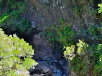 madeira 0976 : Portugal, PRT